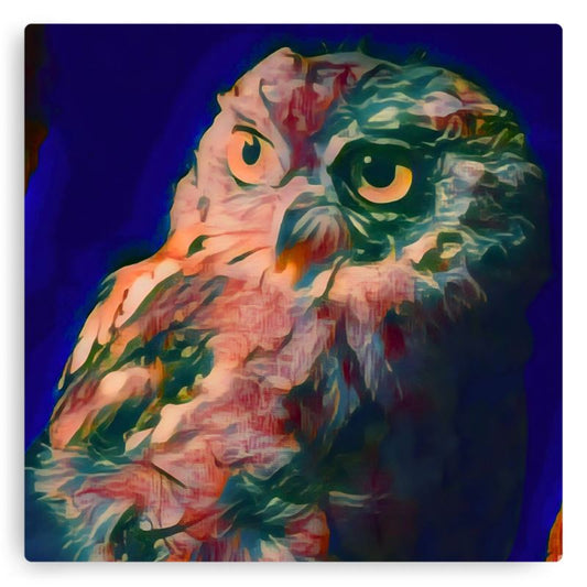Screech Owl Meral Print