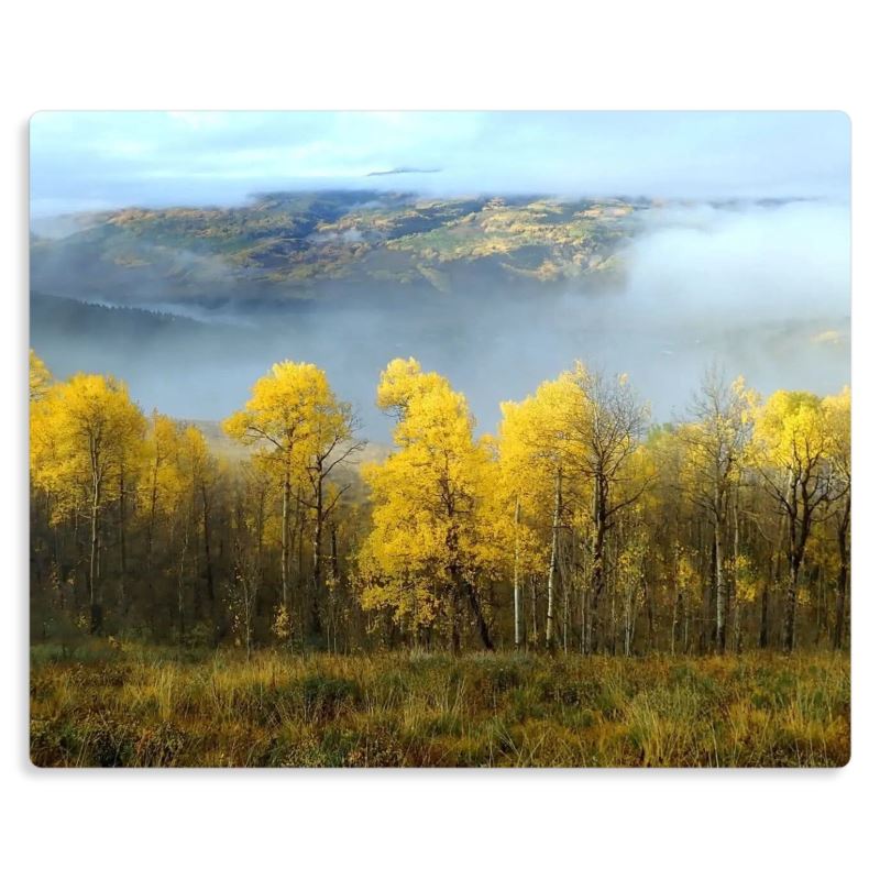 Aspens in the Clouds Metal Print