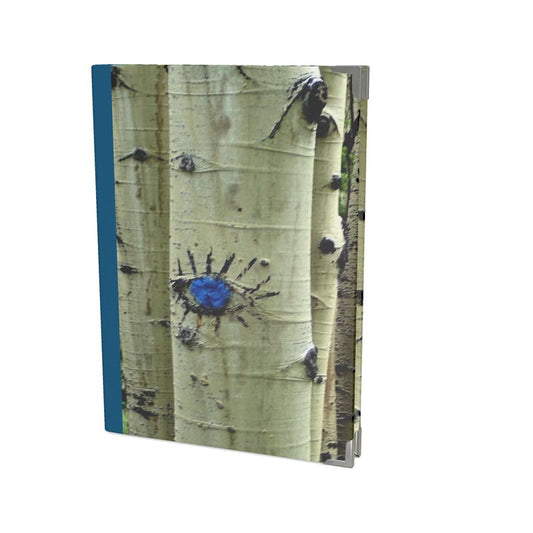 Aspen Eye Journal