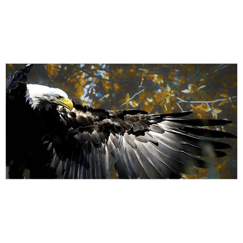 Eagle Canvas
