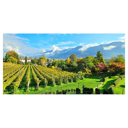 Dolomites Wine Country Canvas